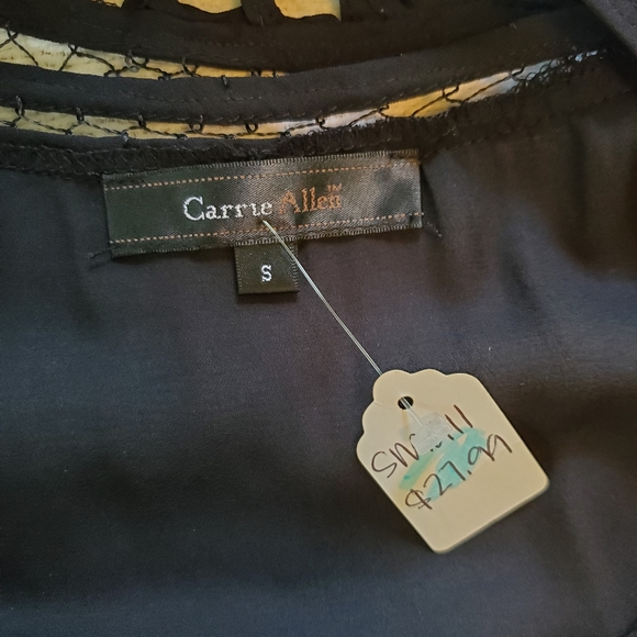 Carrie Allen Flowy Lace Collar Dress - Picture 4 of 8